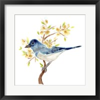 Framed 'Springtime Songbirds IV' border=