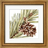 Framed 'Simple Pine Cone I' border=