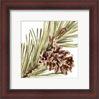 Framed 'Simple Pine Cone I' border=