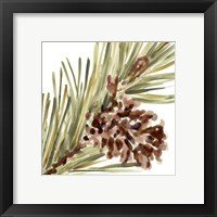 Framed 'Simple Pine Cone I' border=