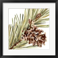 Simple Pine Cone I Framed Print