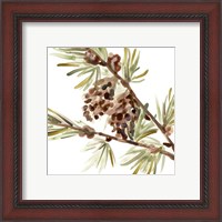 Framed 'Simple Pine Cone II' border=