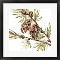 Framed 'Simple Pine Cone II' border=