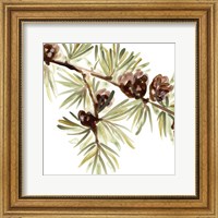 Framed 'Simple Pine Cone III' border=