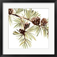 Framed 'Simple Pine Cone III' border=