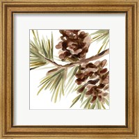 Framed 'Simple Pine Cone IV' border=