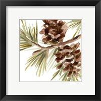 Framed 'Simple Pine Cone IV' border=