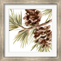 Framed 'Simple Pine Cone IV' border=