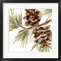 Framed Simple Pine Cone IV