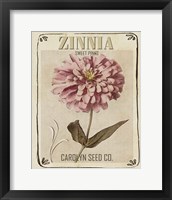 Framed 'Vintage Seed Packets II' border=