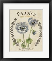 Framed 'Vintage Seed Packets III' border=