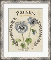 Framed 'Vintage Seed Packets III' border=