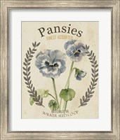 Framed 'Vintage Seed Packets III' border=