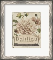 Framed 'Vintage Seed Packets IV' border=