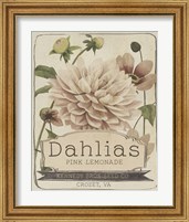 Framed 'Vintage Seed Packets IV' border=