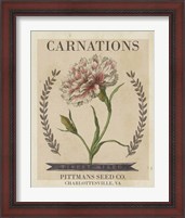 Framed 'Vintage Seed Packets V' border=