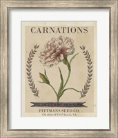 Framed 'Vintage Seed Packets V' border=