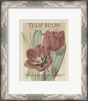 Framed 'Vintage Seed Packets VI' border=