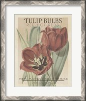 Framed 'Vintage Seed Packets VI' border=