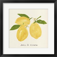 Framed 'Citrus Trattare I' border=