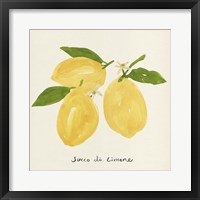 Citrus Trattare I Framed Print