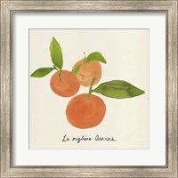 Framed 'Citrus Trattare II' border=