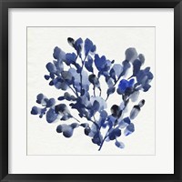 Framed Cobalt Blossom II