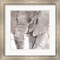 Framed 'Elephant Grooves I' border=