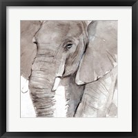 Elephant Grooves I Framed Print