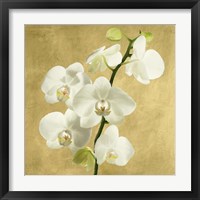 Framed 'Orchids on a Golden Background II' border=