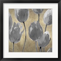 Framed 'Grey Tulips I' border=