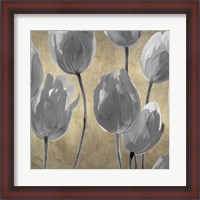 Framed 'Grey Tulips I' border=