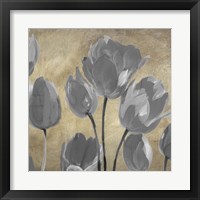 Framed 'Grey Tulips II' border=