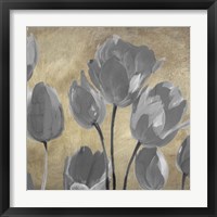 Framed 'Grey Tulips II' border=