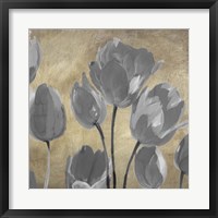 Framed Grey Tulips II