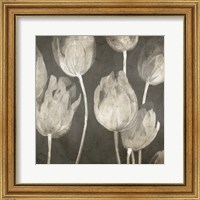 Framed 'Washed Tulips I' border=