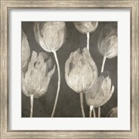 Framed 'Washed Tulips I' border=