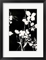 Framed Silhouette Leaves 1