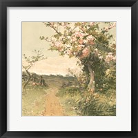 Country Pond 5 Framed Print