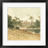 Country Pond 6 Framed Print