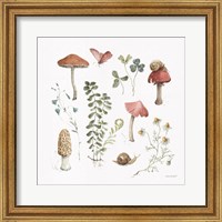 Framed 'Forest Treasures 02' border=