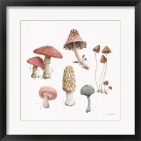 Framed 'Mushroom Medley 03' border=