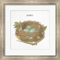 Framed 'Spring Nest III Nest' border=