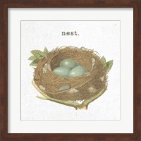 Framed 'Spring Nest III Nest' border=