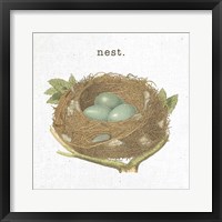 Framed Spring Nest III Nest