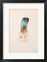 Framed Floating Feathers IV