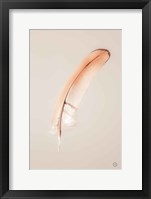 Floating Feathers III Framed Print