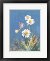 Framed White Daisies