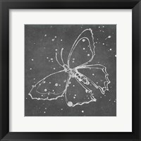 Silver Wings II Framed Print