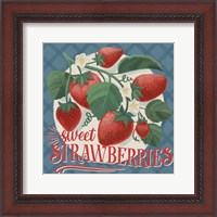 Framed 'Berry Breeze IV' border=